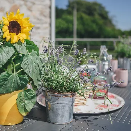 Vakantiehuis La Croisee Des Champs, Entre Durbuy Et La Roche En Ardenne *