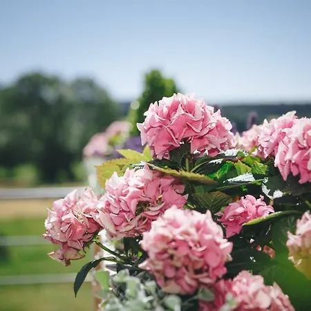 La Croisee Des Champs, Entre Durbuy Et La Roche En Ardenne Vakantiehuis *