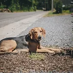 Nyaraló La Croisee Des Champs, Entre Durbuy Et La Roche En Ardenne *