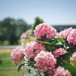 La Croisee Des Champs, Entre Durbuy Et La Roche En Ardenne Nyaraló *