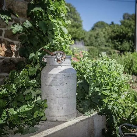 Tatil Evi La Croisee Des Champs, Entre Durbuy Et La Roche En Ardenne *