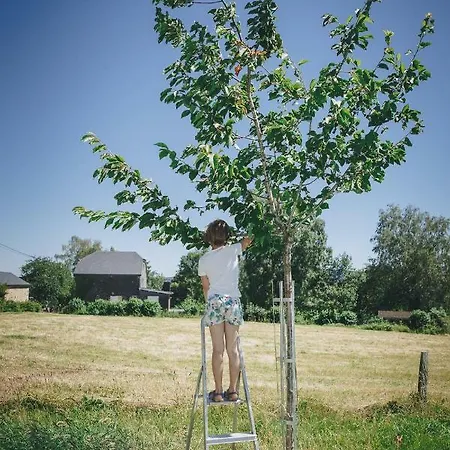 La Croisee Des Champs, Entre Durbuy Et La Roche En Ardenne