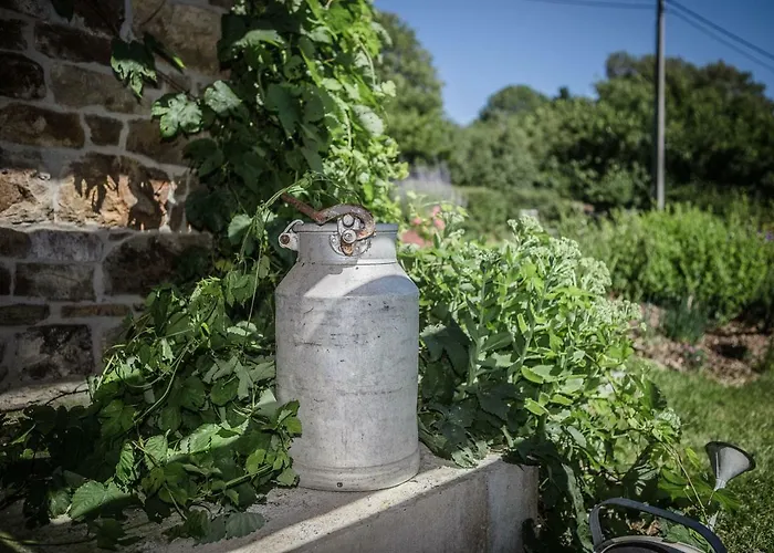 펜션 La Croisee Des Champs, Entre Durbuy Et La Roche En Ardenne *