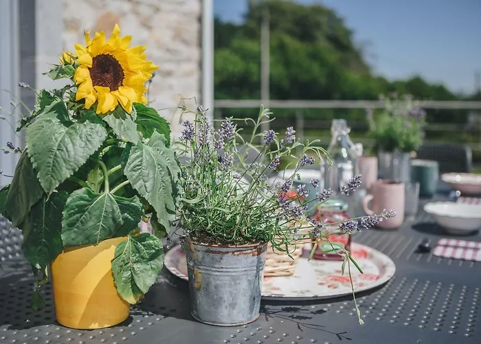 펜션 La Croisee Des Champs, Entre Durbuy Et La Roche En Ardenne *