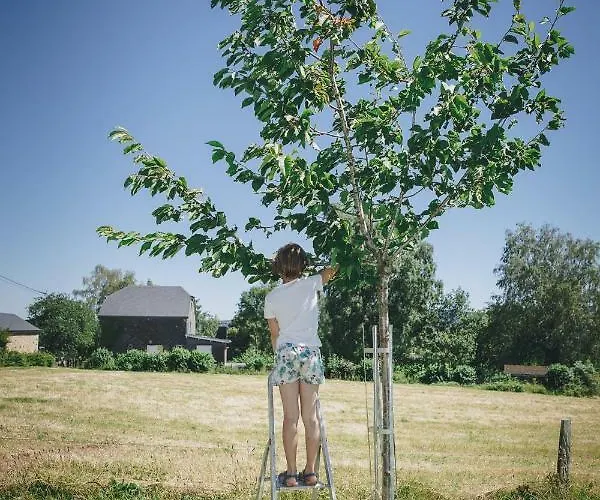 La Croisee Des Champs, Entre Durbuy Et La Roche En Ardenne