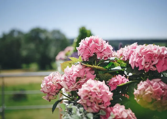 La Croisee Des Champs, Entre Durbuy Et La Roche En Ardenne 펜션 *